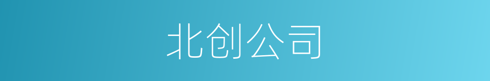 北创公司的同义词