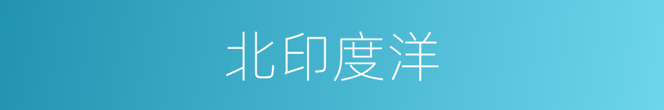 北印度洋的同义词