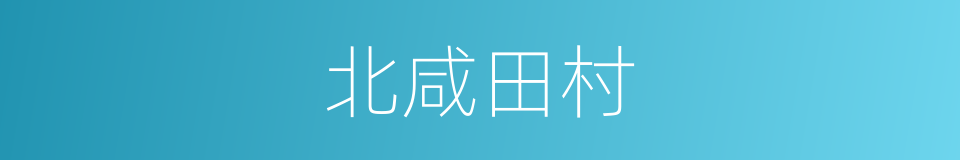 北咸田村的同义词