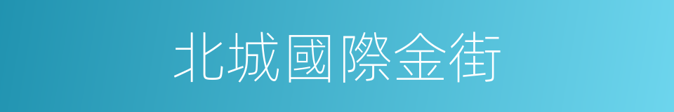 北城國際金街的同義詞