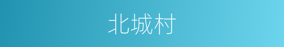 北城村的同义词