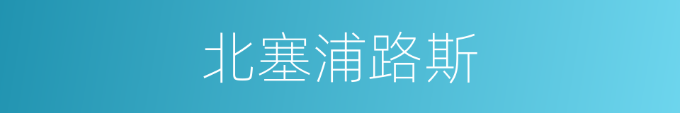 北塞浦路斯的同义词