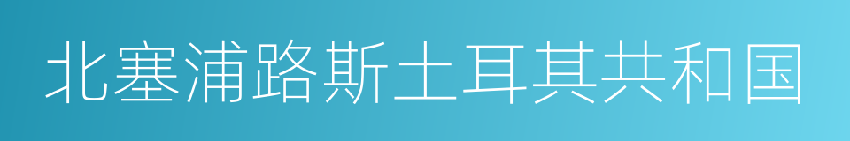 北塞浦路斯土耳其共和国的同义词