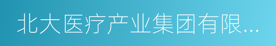 北大医疗产业集团有限公司的同义词