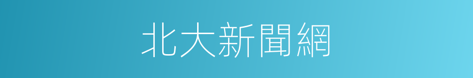 北大新聞網的同義詞