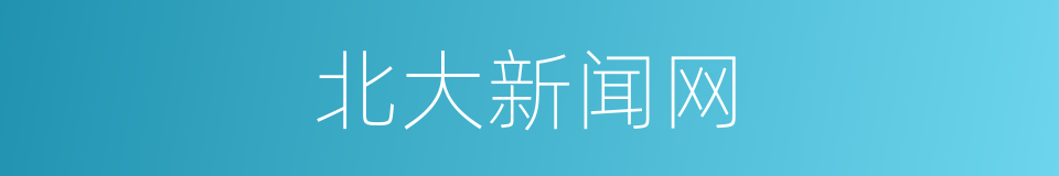 北大新闻网的同义词