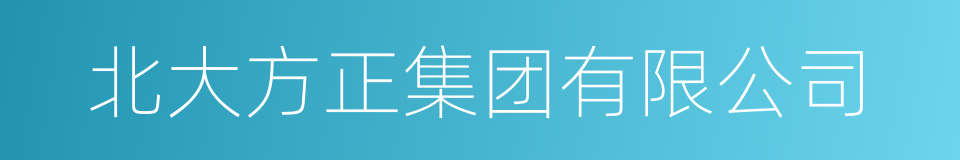 北大方正集团有限公司的同义词