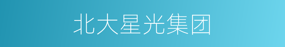 北大星光集团的同义词