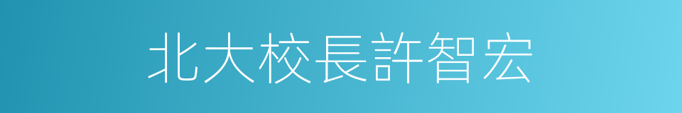 北大校長許智宏的同義詞