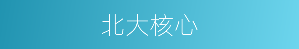 北大核心的同义词