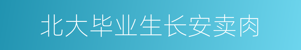 北大毕业生长安卖肉的同义词