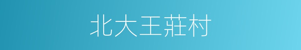 北大王莊村的同義詞