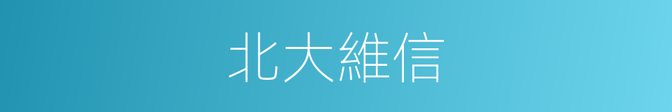 北大維信的同義詞