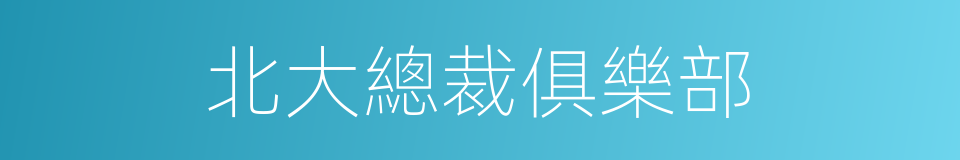北大總裁俱樂部的同義詞