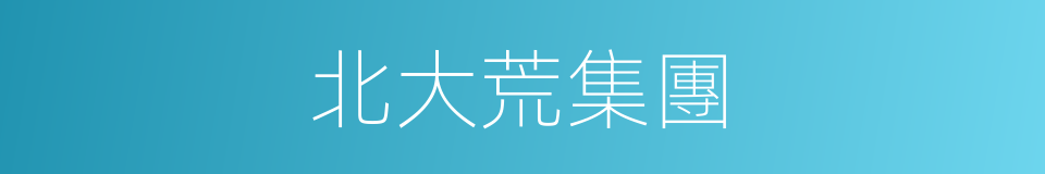 北大荒集團的同義詞