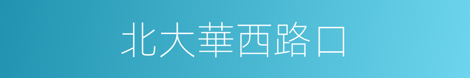 北大華西路口的同義詞