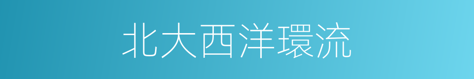 北大西洋環流的同義詞