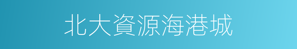 北大資源海港城的同義詞