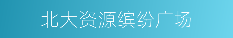 北大资源缤纷广场的同义词