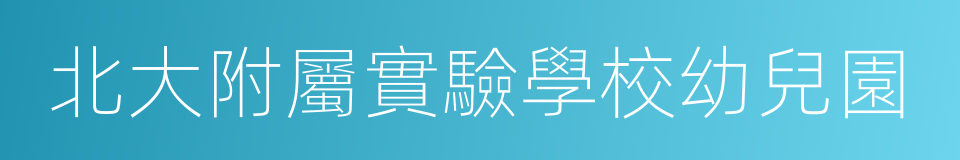 北大附屬實驗學校幼兒園的同義詞