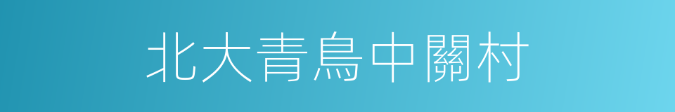 北大青鳥中關村的同義詞