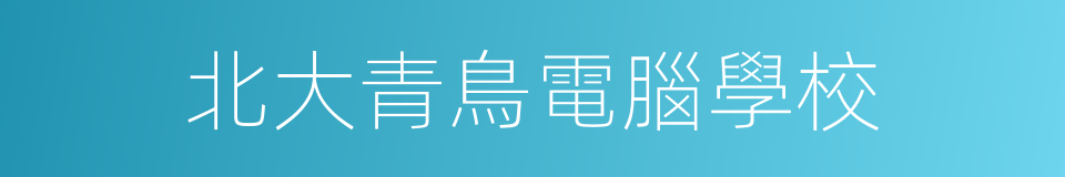 北大青鳥電腦學校的同義詞