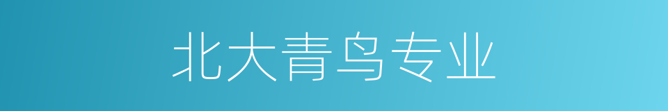 北大青鸟专业的同义词