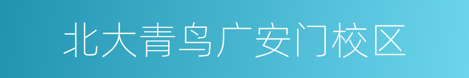 北大青鸟广安门校区的同义词
