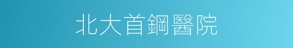 北大首鋼醫院的同義詞