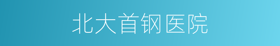 北大首钢医院的同义词
