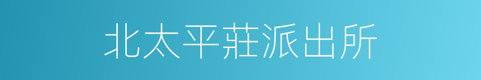 北太平莊派出所的同義詞