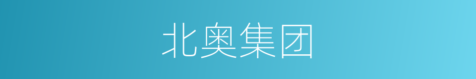 北奥集团的同义词