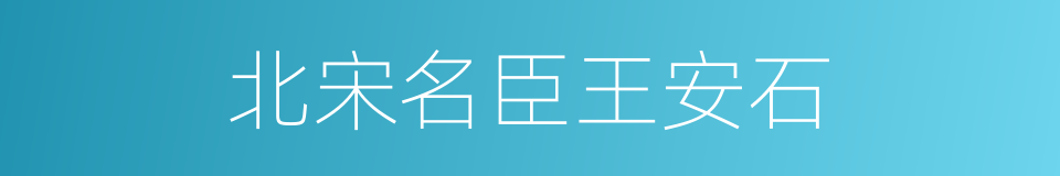 北宋名臣王安石的同义词