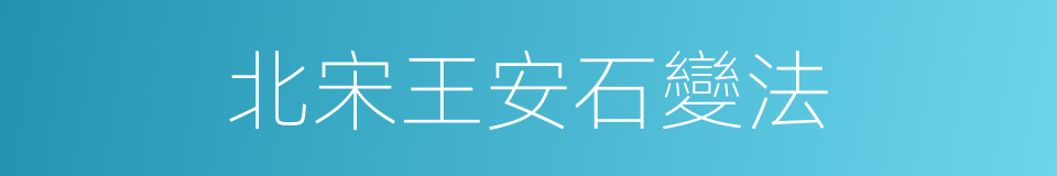 北宋王安石變法的同義詞