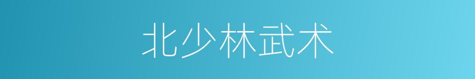 北少林武术的同义词