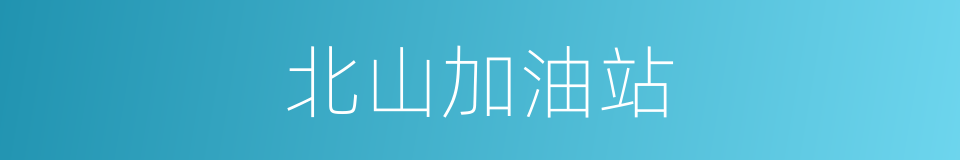 北山加油站的同义词