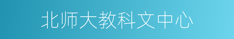 北师大教科文中心的同义词