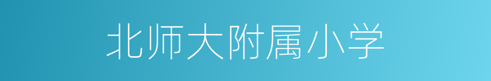 北师大附属小学的同义词