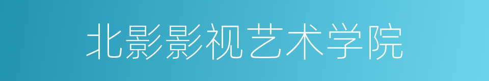北影影视艺术学院的同义词