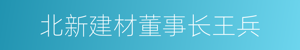 北新建材董事长王兵的同义词