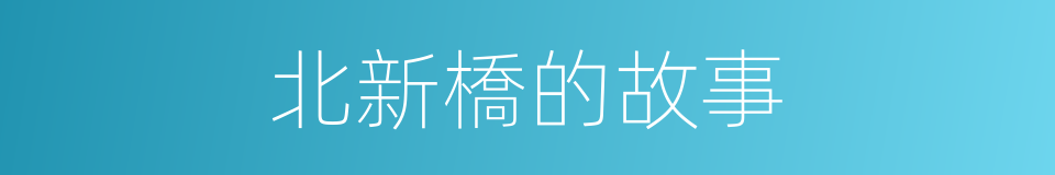 北新橋的故事的同義詞