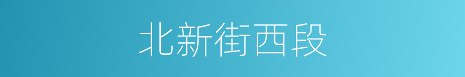 北新街西段的同义词