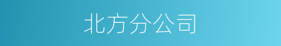 北方分公司的同义词