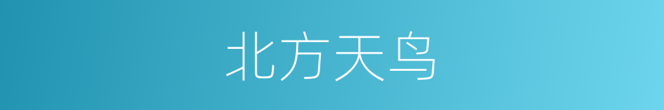 北方天鸟的同义词