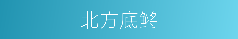 北方底鳉的同义词