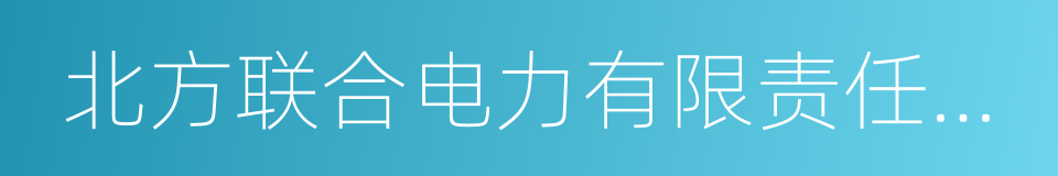 北方联合电力有限责任公司的同义词