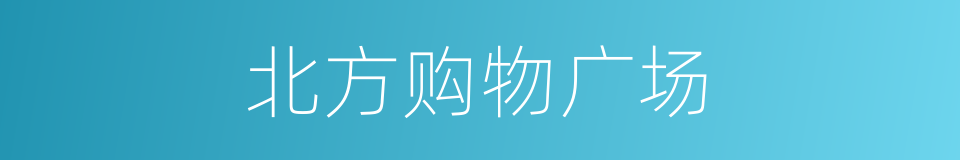 北方购物广场的同义词