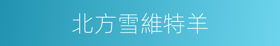北方雪維特羊的同義詞