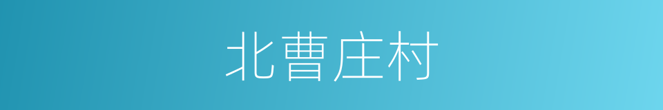 北曹庄村的同义词