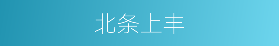 北条上丰的同义词